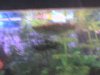DSC00045.JPG