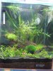 Nano10l2.jpg