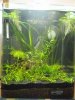Nano10l4.jpg
