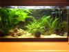 Becken 28.12.2008.JPG