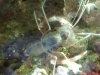 DSC00500a.jpg
