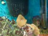 DSC00501a.jpg