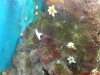 DSC00502a.jpg