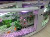 K640_16122008149.JPG