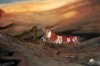 Red Bee 02.jpg