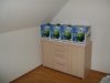 4 mal Packung.JPG