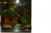 Aquarium1212.JPG