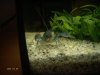 DSC00010_800x600.JPG