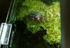 DSC01459.JPG