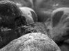 DSCF0533_bearbeitet-2.jpg