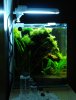 DSC01446.JPG