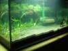 100_0122.JPG