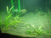 100_0123.JPG