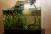 DSC001152.jpg