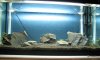 aqua japan4.jpg