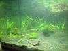 100_0087.JPG