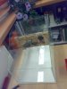 220120092687.resized.jpg