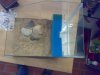 230120092693.resized.jpg