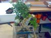 240120092703.resized.jpg