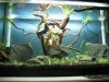 aqua japan6.jpg