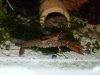 100_0479.JPG