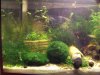 100_0493.JPG