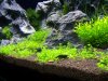 100_3150.jpg