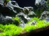 100_3159.jpg