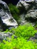 100_3167.jpg