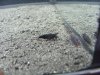DSCF0017.JPG