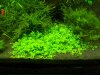 100_3197.jpg