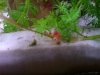 DSC01756.JPG