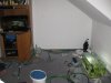 IMG_0663.JPG