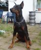 DSC00129.jpg