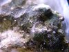 DSCF0433-Groß.JPG