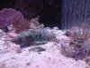 DSC00174.JPG