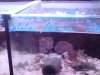 DSC00176.JPG