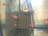 BILD1669.JPG