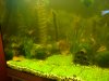 DSC03103.JPG