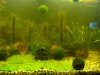 DSC03106.JPG