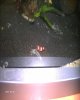 DSC00072_800_1000.jpg