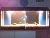 Aquarium 001.jpg