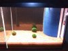 Aquarium 002.jpg