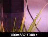 convar20gb7.th.jpg