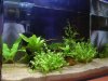 30l front links.JPG