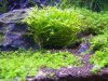 100_3216.jpg