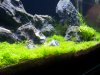 100_3218.jpg