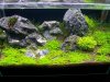 100_3220.jpg