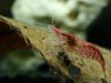 IMG_3754_01.JPG