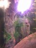 Aquarium.jpg